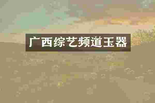 广西综艺频道玉器
