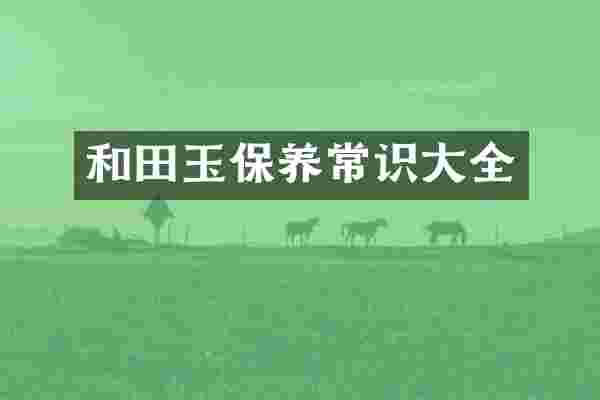 和田玉保养常识大全