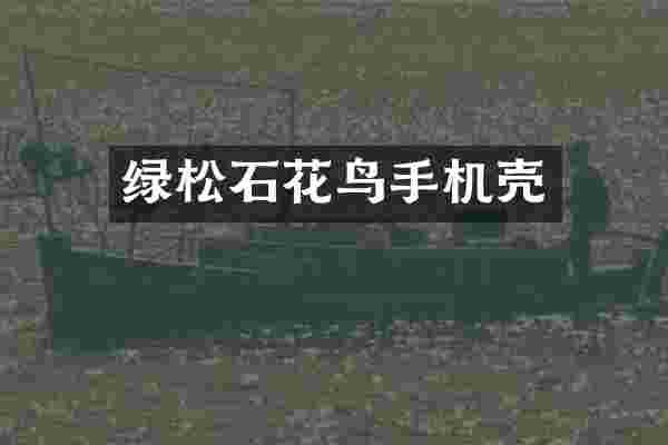 绿松石花鸟手机壳