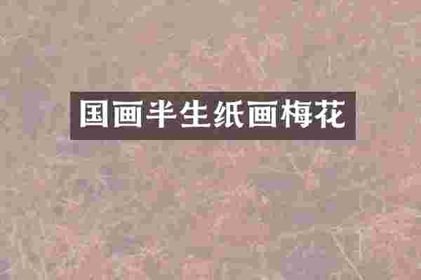 国画半生纸画梅花