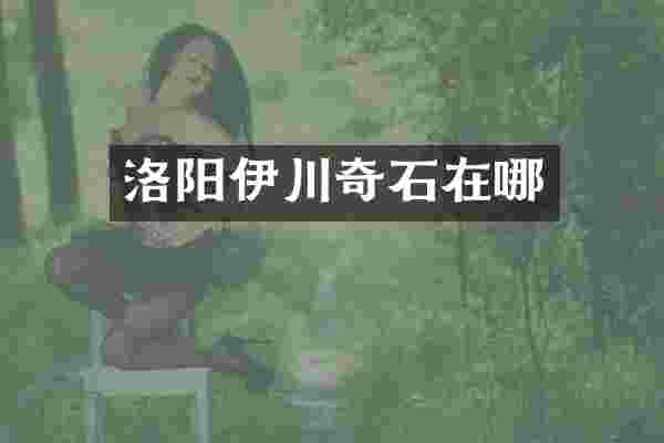 洛阳伊川奇石在哪