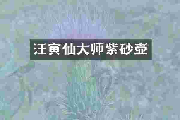 汪寅仙大师紫砂壶