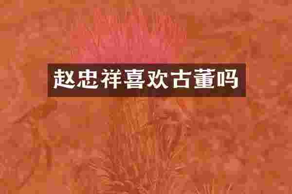 赵忠祥喜欢古董吗
