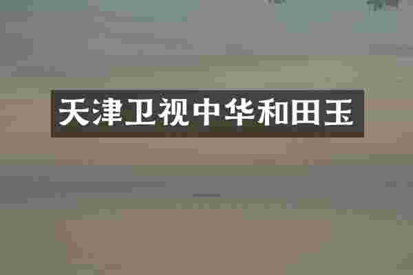 天津卫视中华和田玉