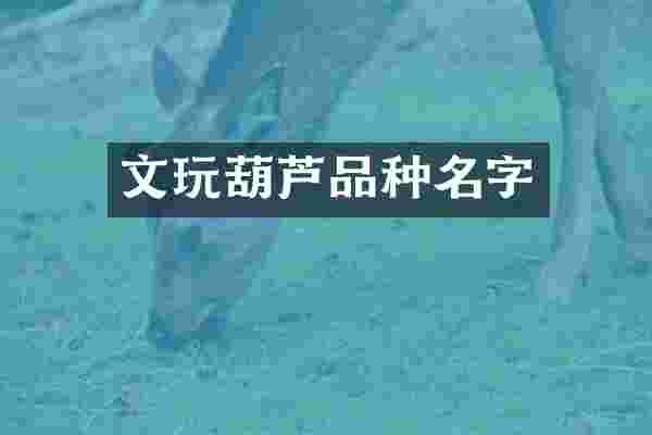 文玩葫芦品种名字