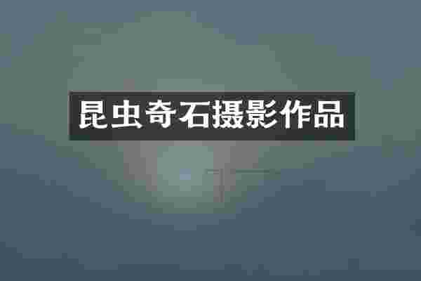 昆虫奇石摄影作品