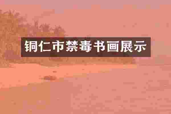 铜仁市禁毒书画展示