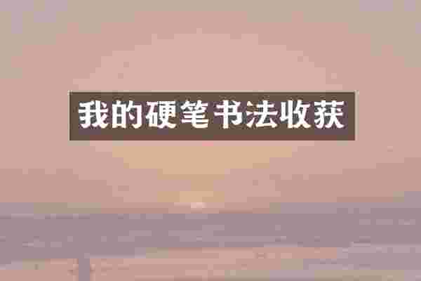 我的硬笔书法收获