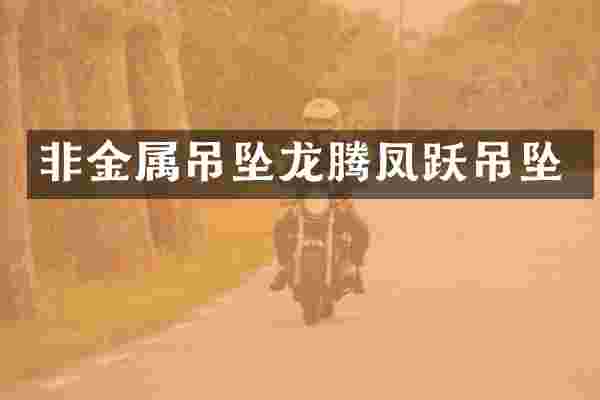 非金属吊坠龙腾凤跃吊坠