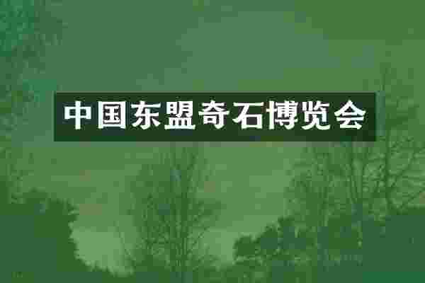 中国东盟奇石博览会