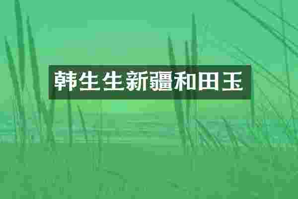 韩生生新疆和田玉
