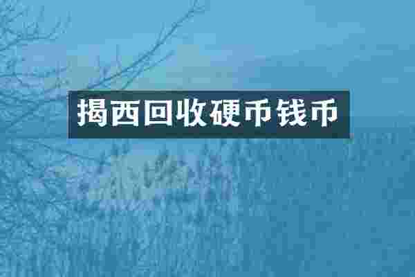 揭西回收硬币钱币