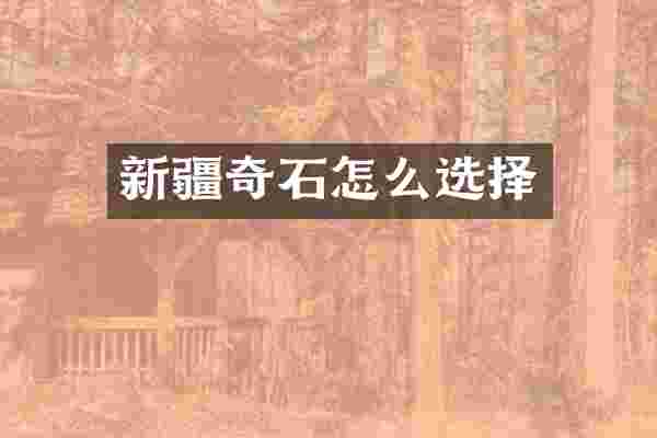 新疆奇石怎么选择