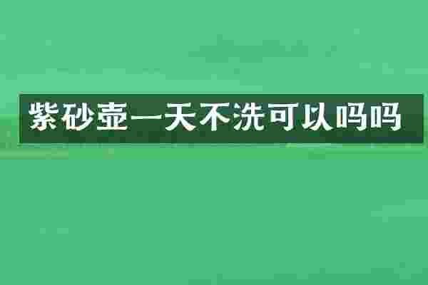 紫砂壶一天不洗可以吗吗