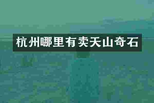 杭州哪里有卖天山奇石