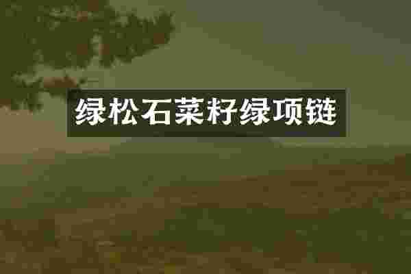 绿松石菜籽绿项链
