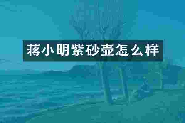 蒋小明紫砂壶怎么样