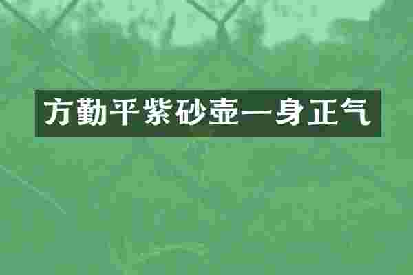 方勤平紫砂壶一身正气