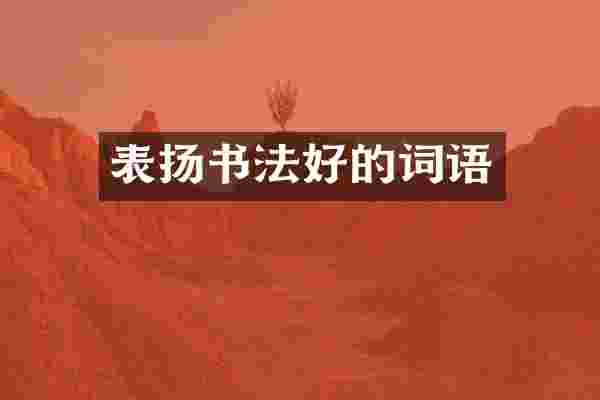 表扬书法好的词语