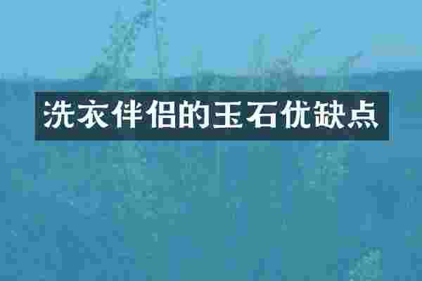 洗衣伴侣的玉石优缺点