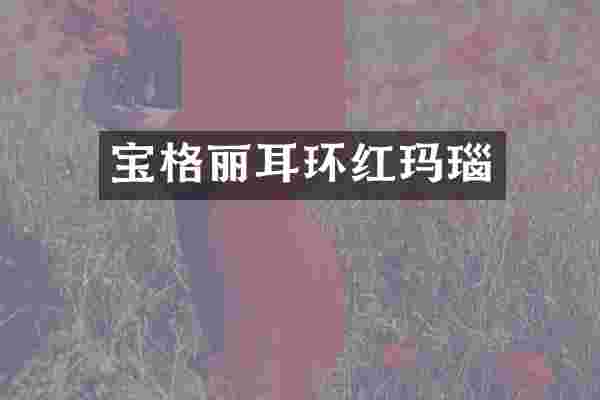 宝格丽耳环红玛瑙