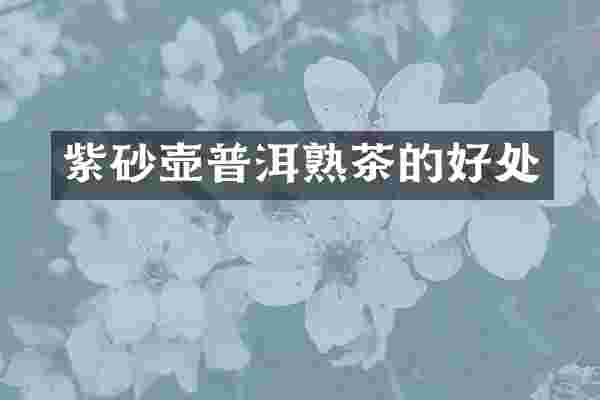 紫砂壶普洱熟茶的好处