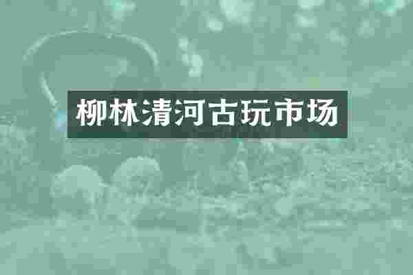 柳林清河古玩市场