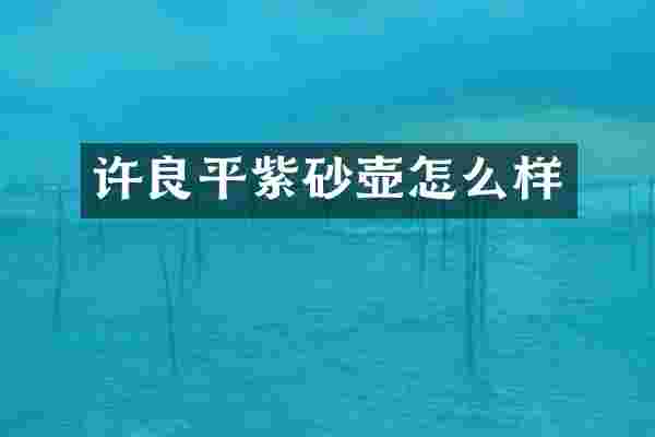 许良平紫砂壶怎么样