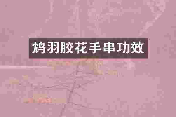 鸩羽胶花手串功效