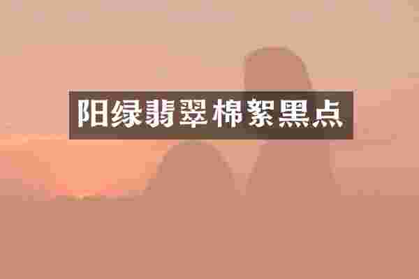 阳绿翡翠棉絮黑点