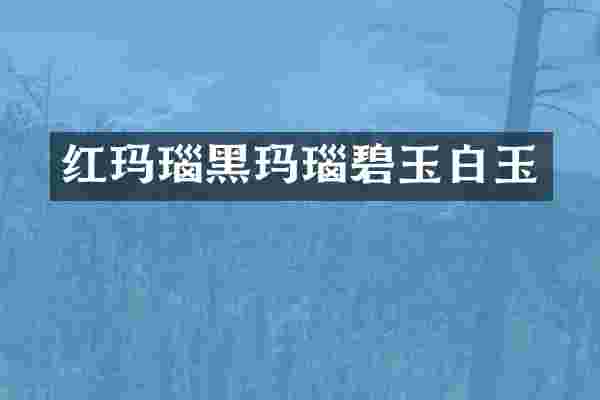 红玛瑙黑玛瑙碧玉白玉