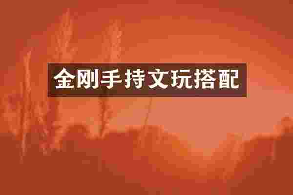 金刚手持文玩搭配