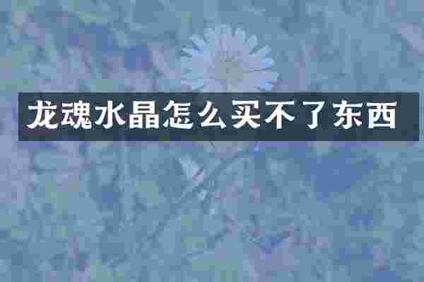 龙魂水晶怎么买不了东西