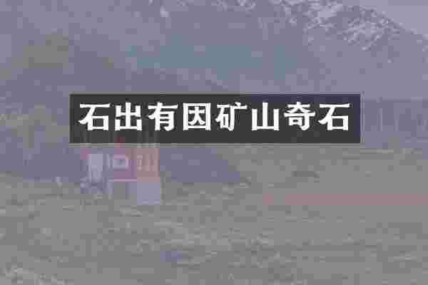 石出有因矿山奇石