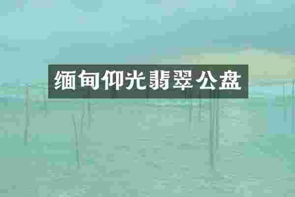 缅甸仰光翡翠公盘