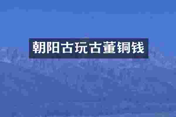 朝阳古玩古董铜钱