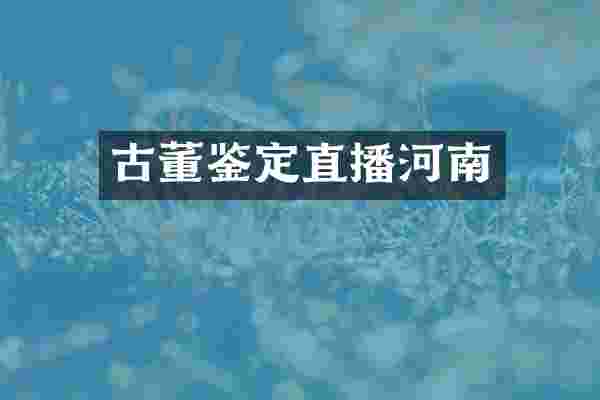 古董鉴定直播河南