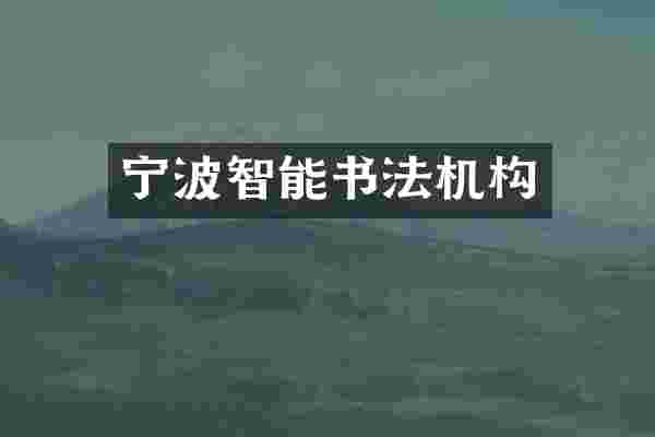 宁波智能书法机构