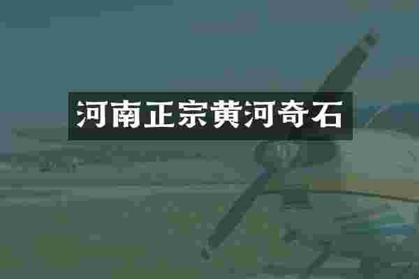 河南正宗黄河奇石