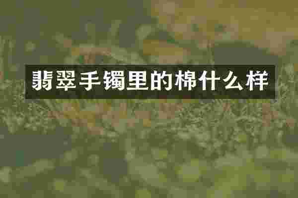 翡翠手镯里的棉什么样