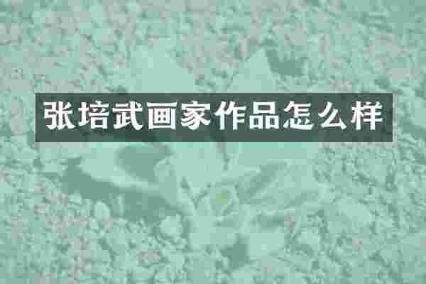 张培武画家作品怎么样