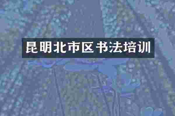 昆明北市区书法培训