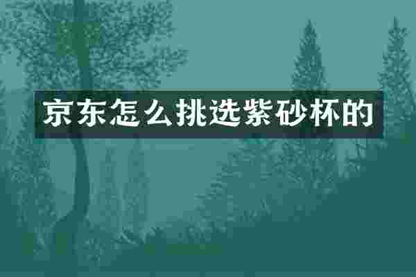 京东怎么挑选紫砂杯的