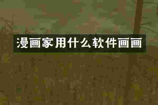 漫画家用什么软件画画