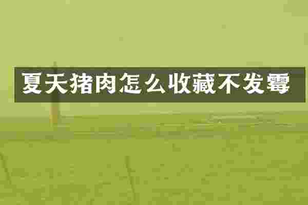 夏天猪肉怎么收藏不发霉