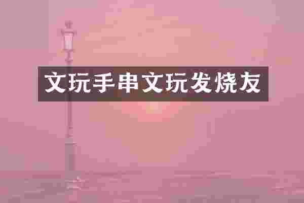 文玩手串文玩发烧友