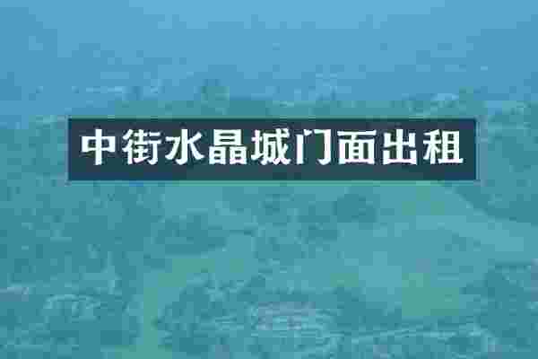 中街水晶城门面出租