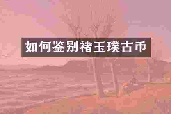 如何鉴别褚玉璞古币