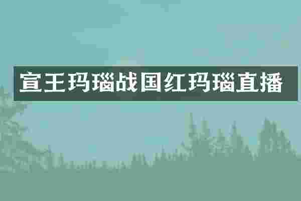 宣王玛瑙战国红玛瑙直播