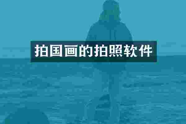 拍国画的拍照软件
